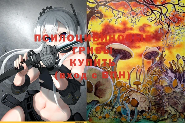 ALPHA PVP Надым