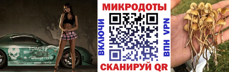ссылка на мегу tor Таганрог Псилоцибиновые грибы MAGIC MUSHROOMS