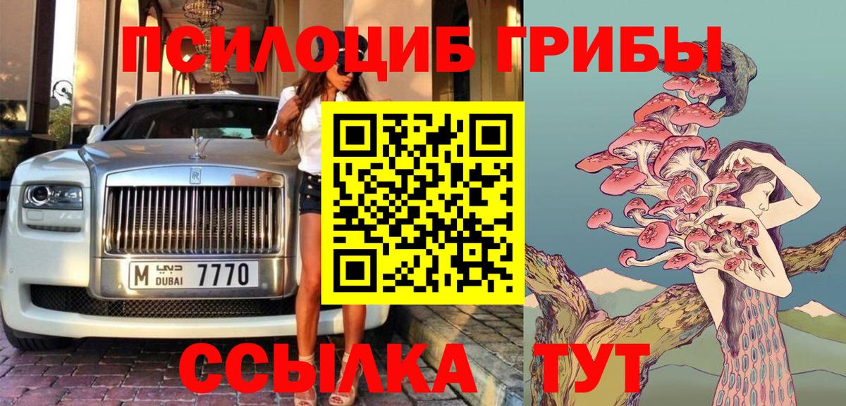 Галлюциногенные грибы Psilocybine cubensis Таганрог