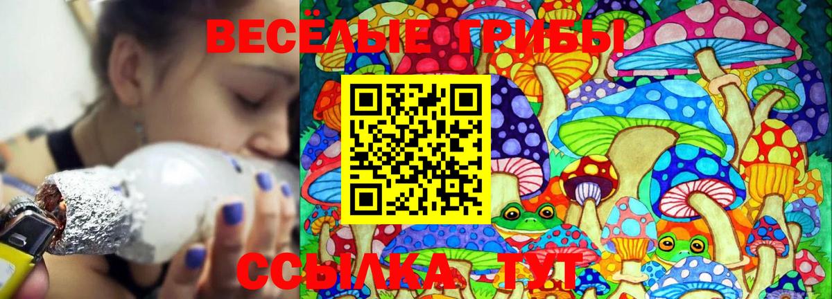 Галлюциногенные грибы MAGIC MUSHROOMS  Псилоцибиновые грибы Psilocybine cubensis  Таганрог  купить закладку  Вход с VPN 